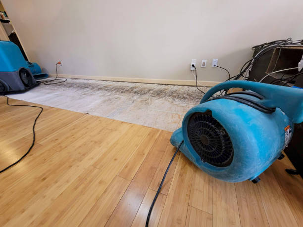 Professional Burst Pipe Water Damage technician working in Lake Arrowhead, CA